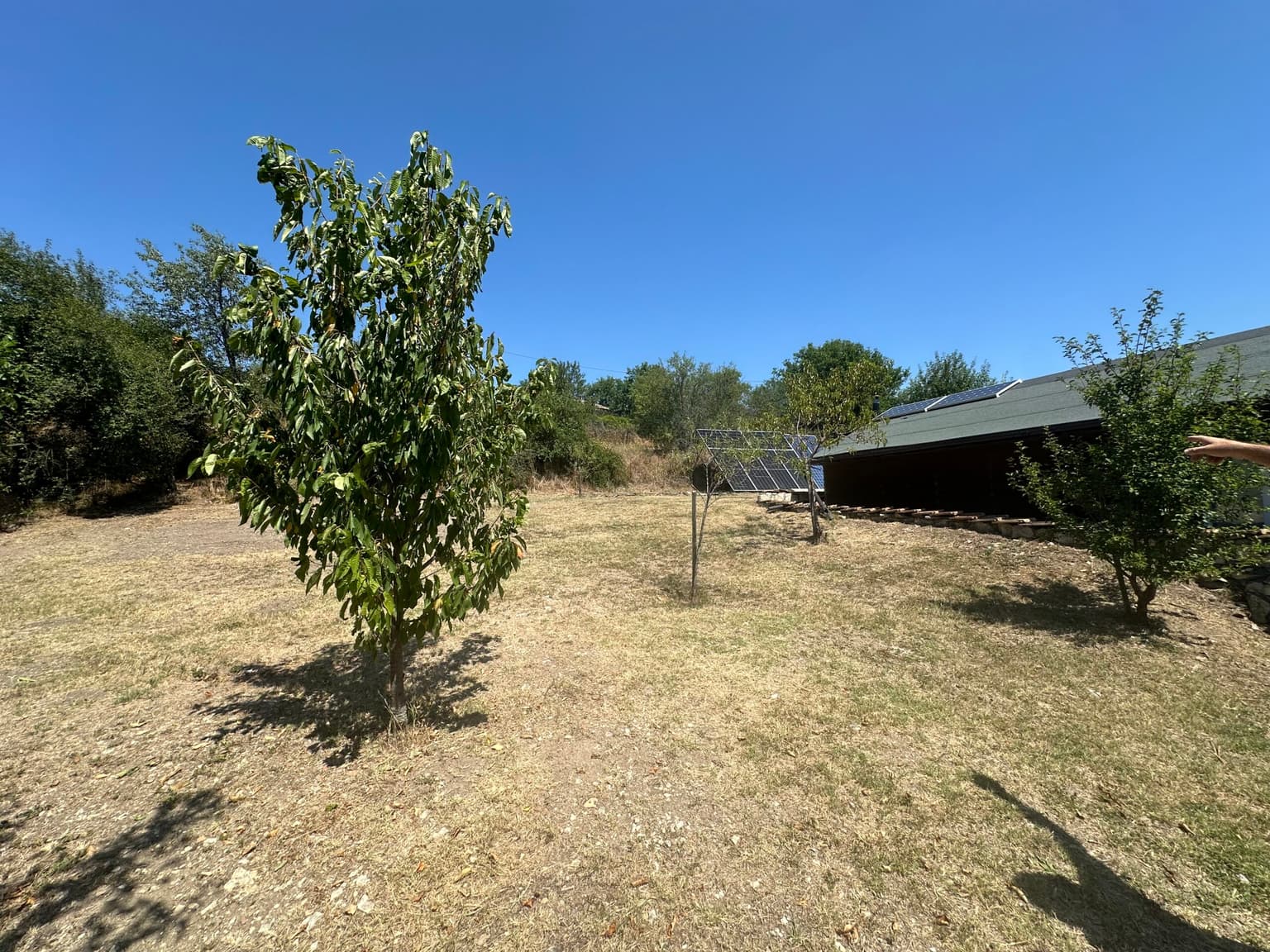 Sids Dream House - Osikovo - thumbnail 13