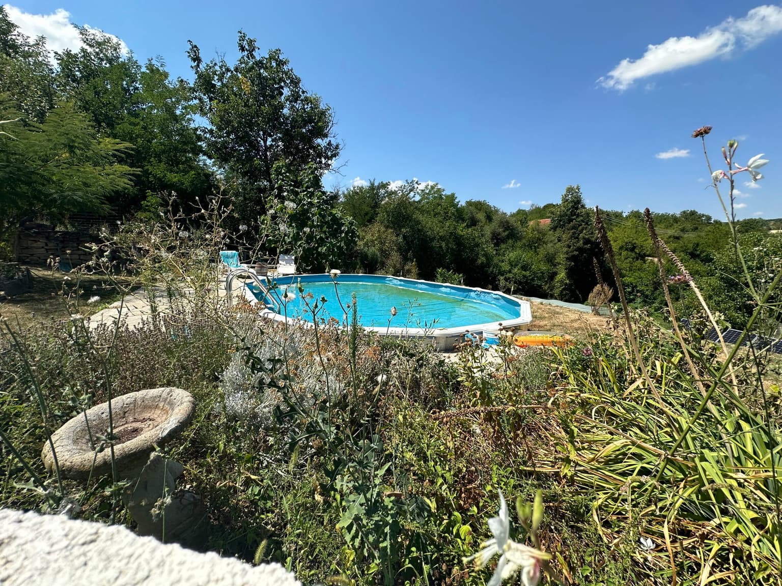 Starlight Sanctuary - Zvezda 💫 - thumbnail 44