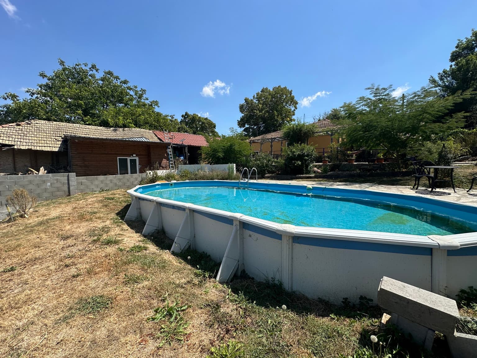 Starlight Sanctuary - Zvezda 💫 - thumbnail 8