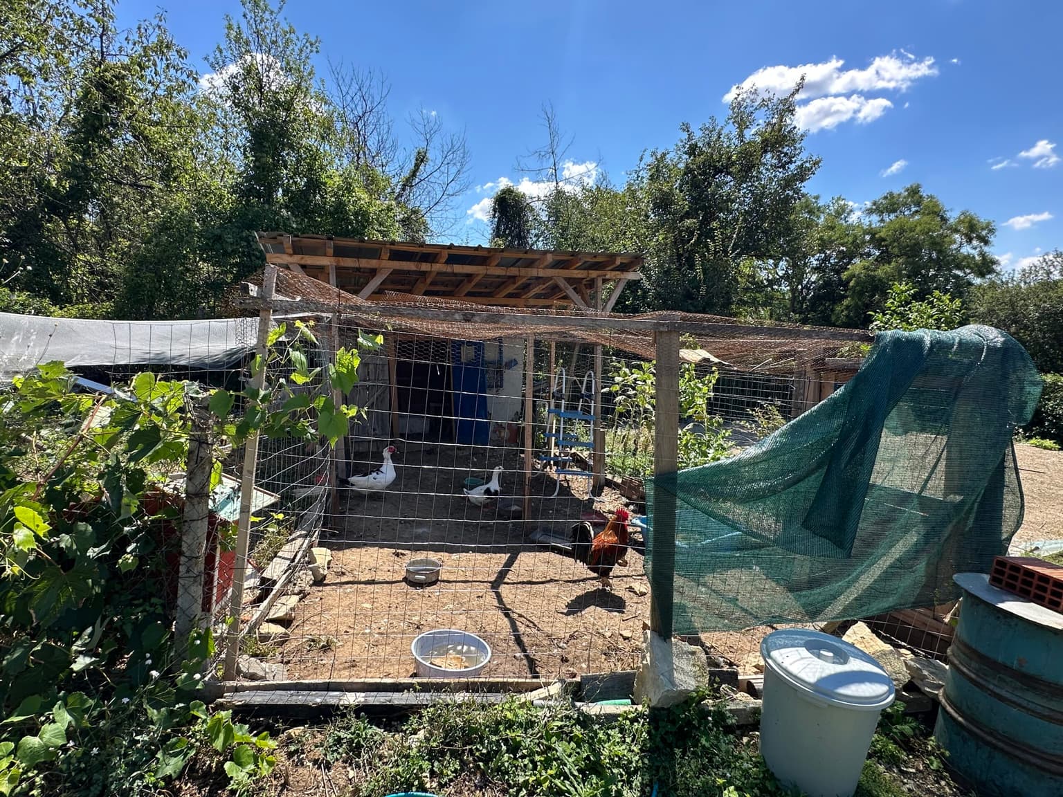 Sunset House - Mogilino - thumbnail 8