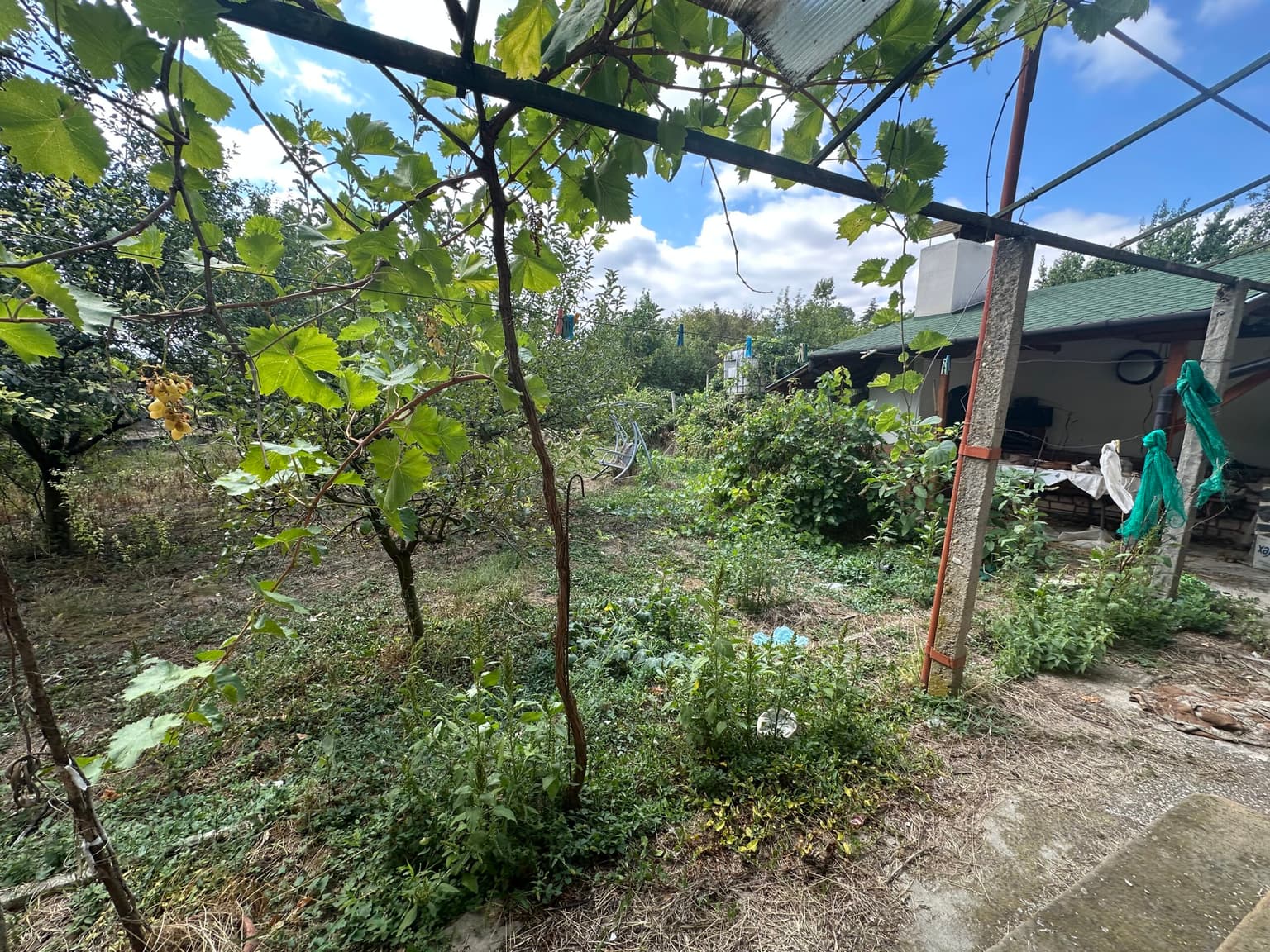 The Albion House - Lom Cherkovna - thumbnail 8