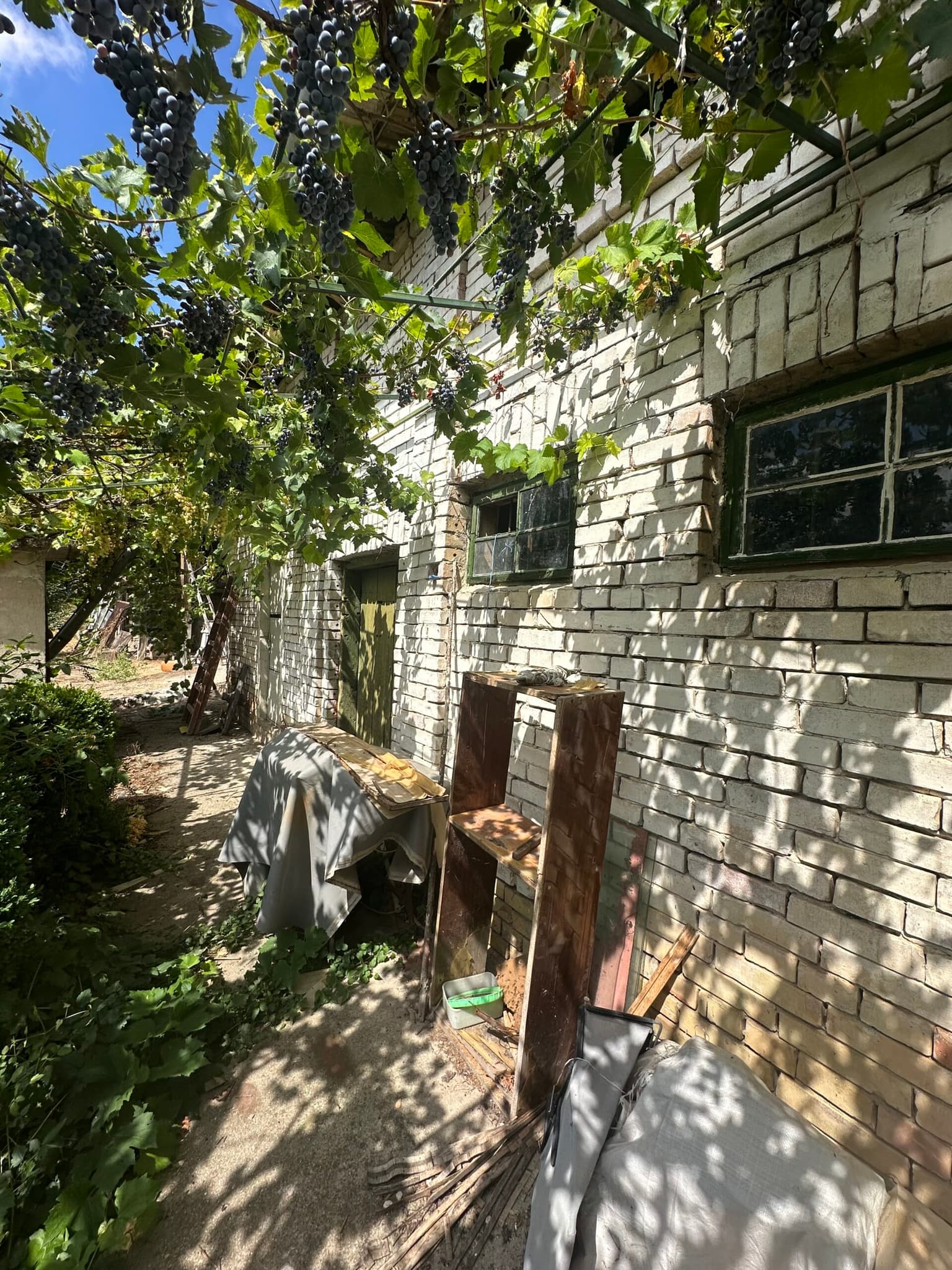 The Albion House - Lom Cherkovna - thumbnail 5