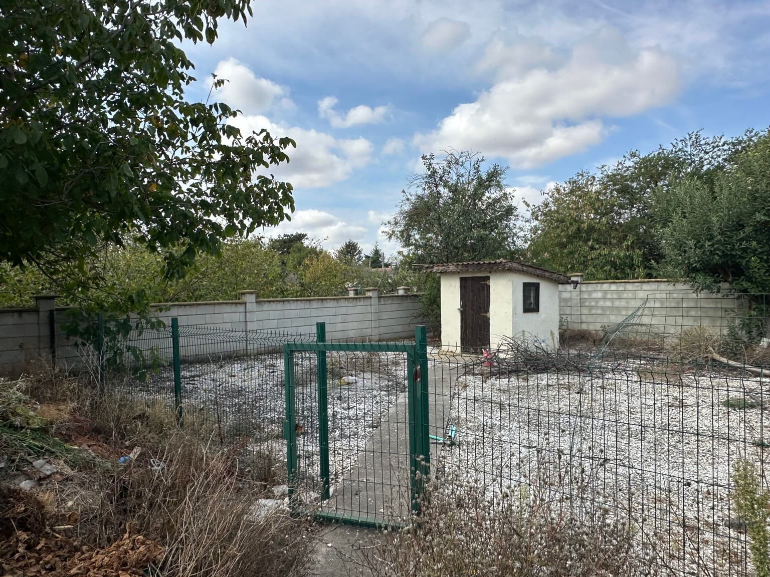 Shell Bell - Sokolovo - thumbnail 7