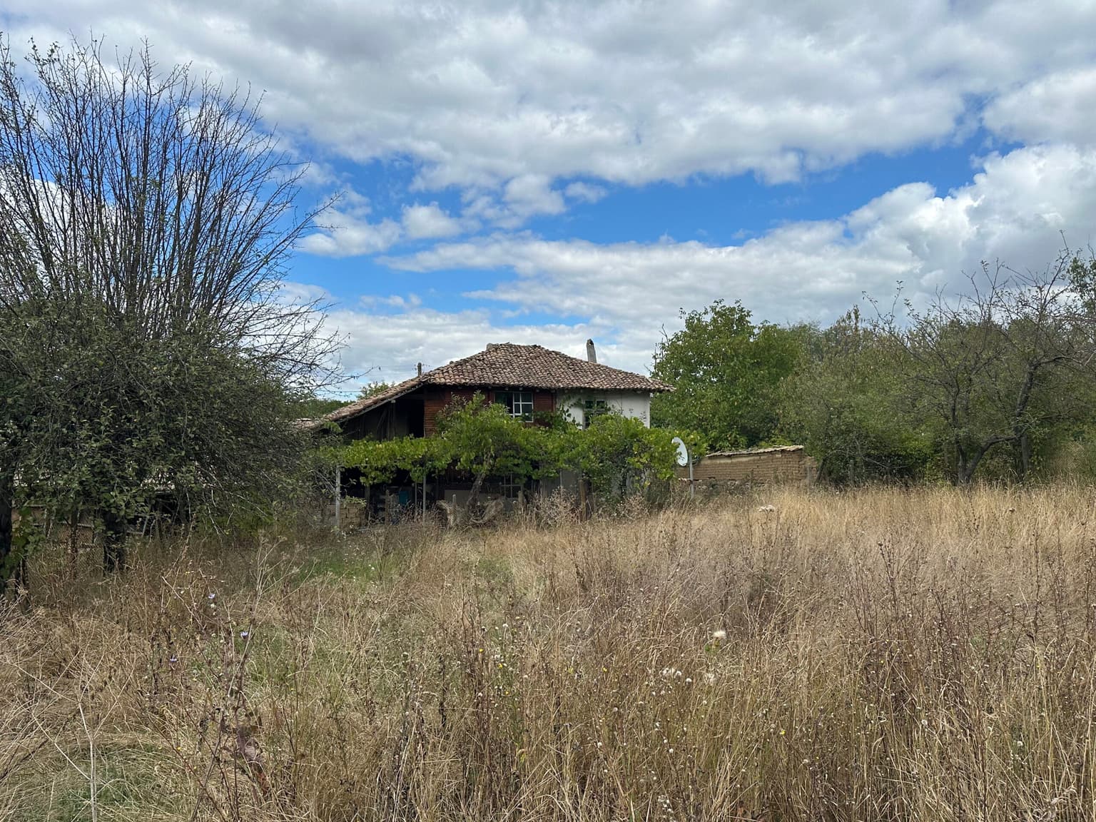 Country Cottage - Berkovski - thumbnail 9