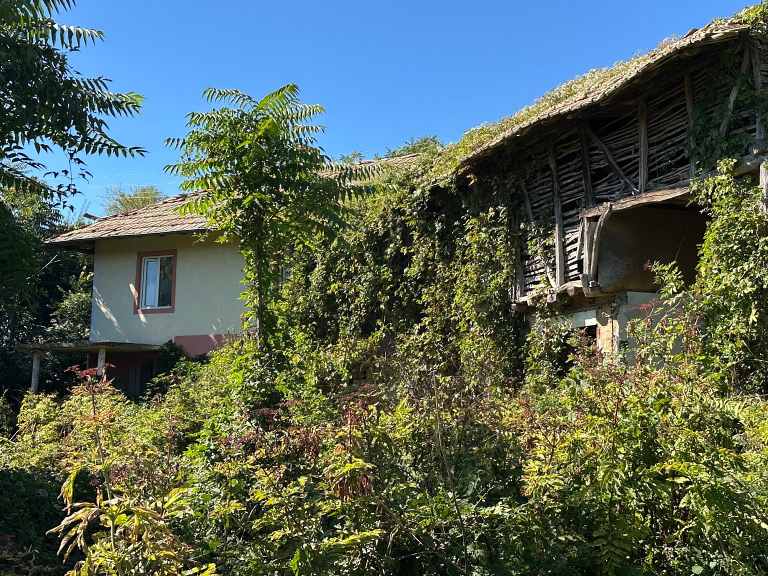 The Chilli House - Lyublen - thumbnail 7