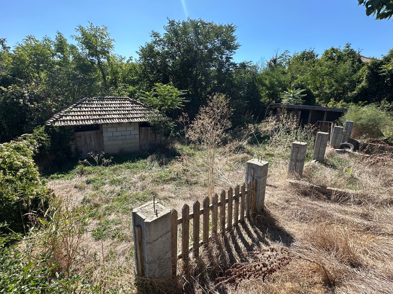 The Chilli House - Lyublen - thumbnail 6