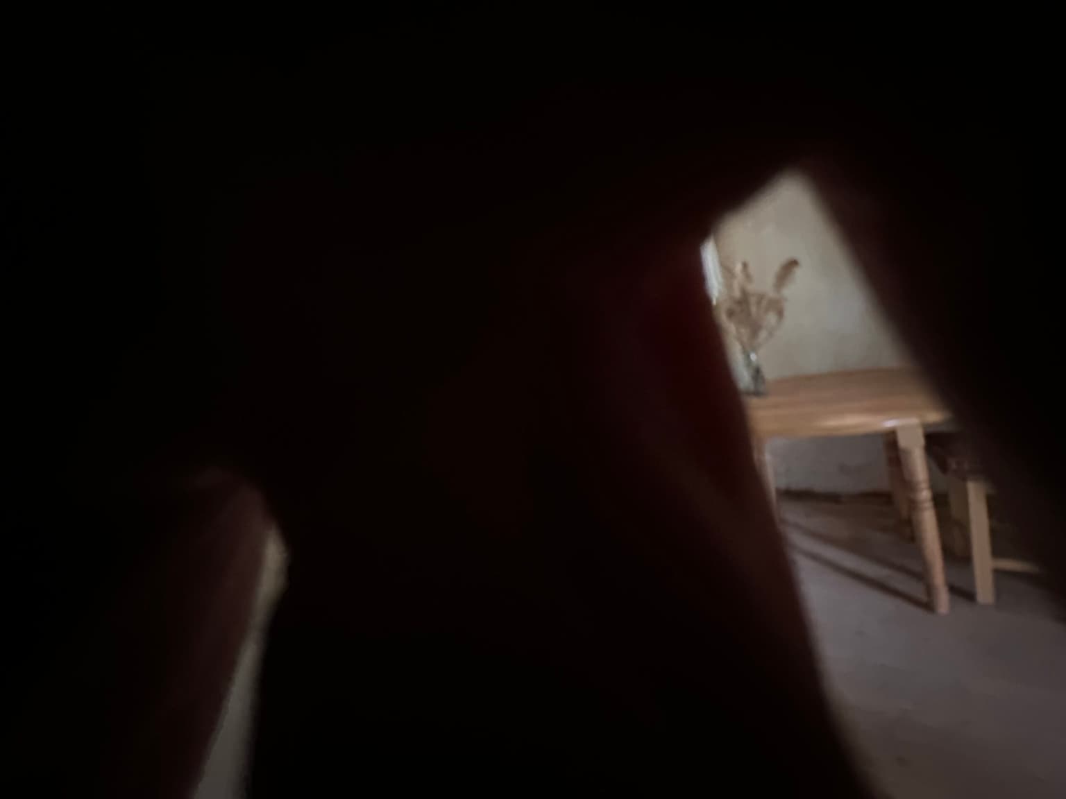 Dreamcatcher House - Voditsa - thumbnail 9