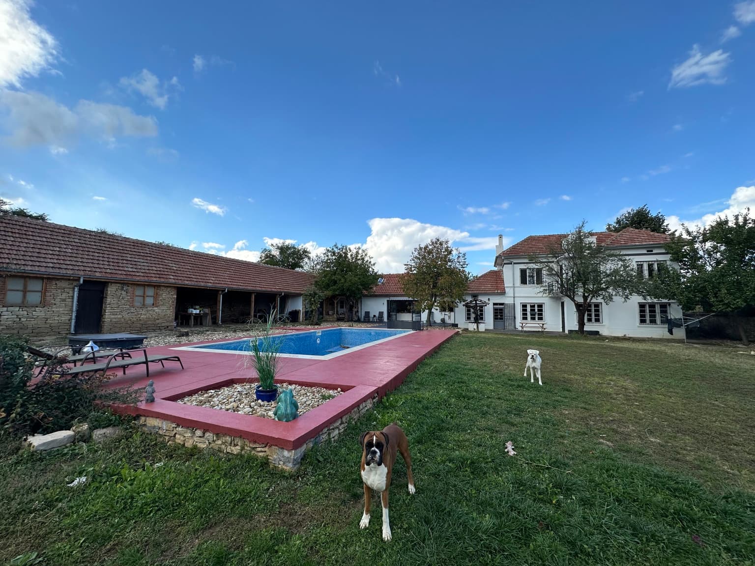 The Secret Garden - Stefan Stambolovo - thumbnail 5