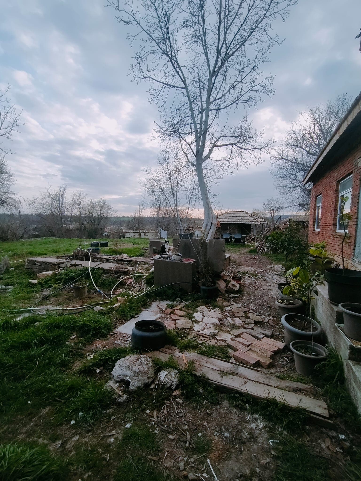 Zen House - Palamartsa (New offer) - thumbnail 31