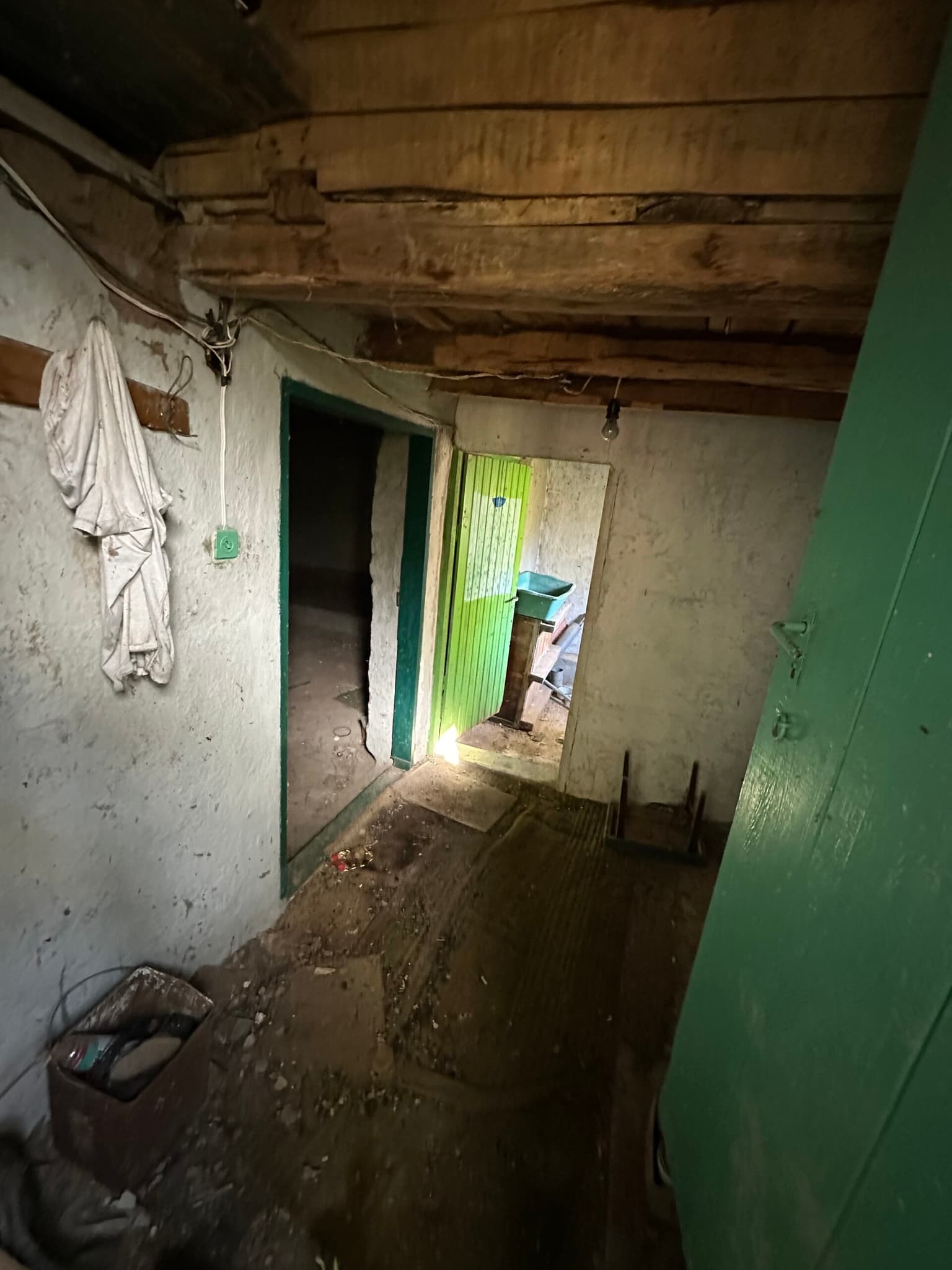 Shrubbery House - Tsar Asen - thumbnail 7