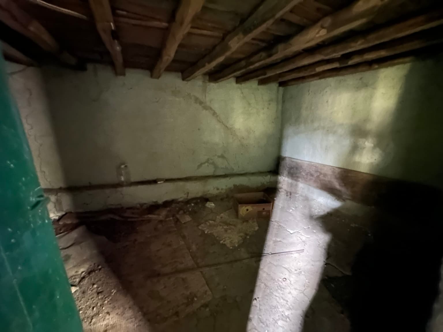 Shrubbery House - Tsar Asen - thumbnail 5