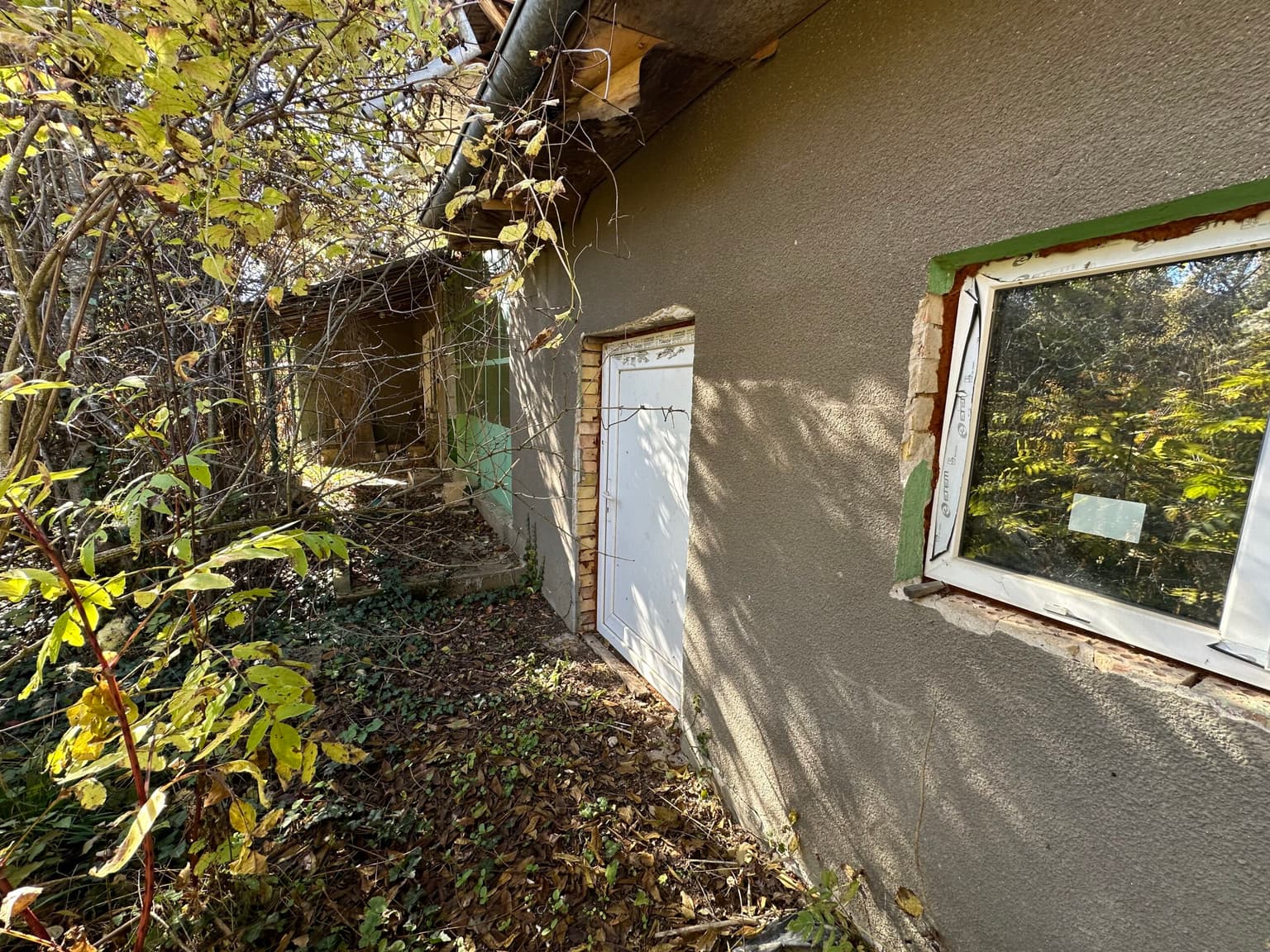 Shrubbery House - Tsar Asen - thumbnail 2