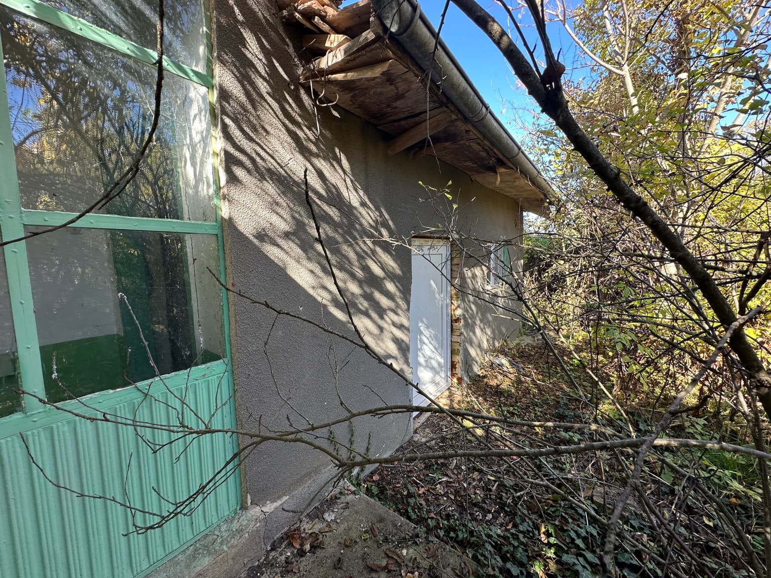 Shrubbery House - Tsar Asen - thumbnail 14