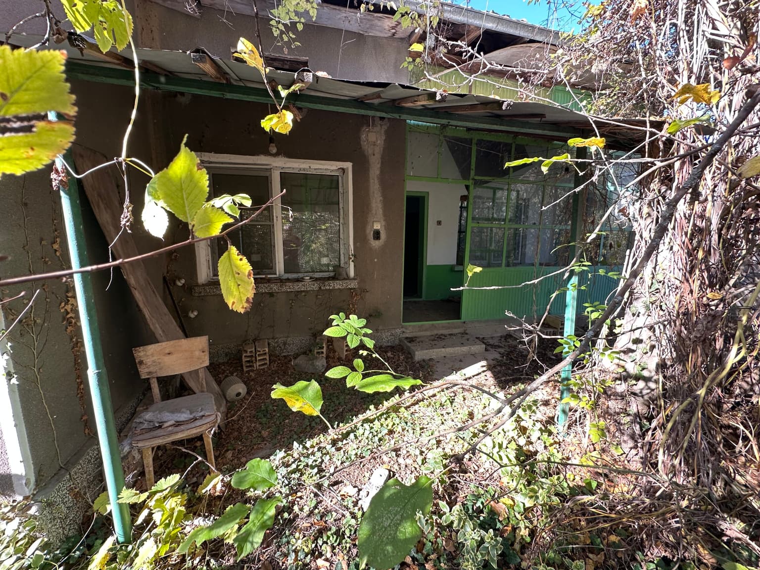 Shrubbery House - Tsar Asen - thumbnail 15