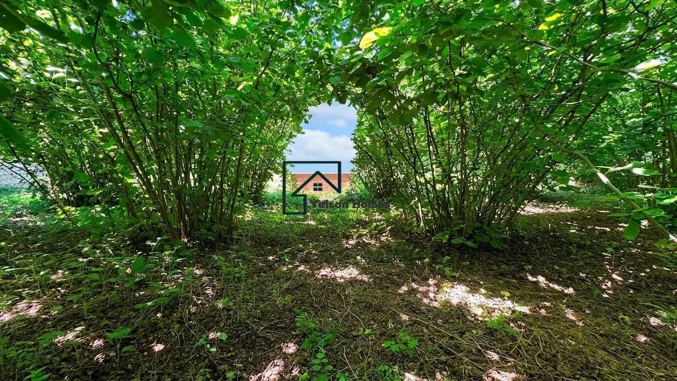 Hazelnut House - Mogilino - thumbnail 3