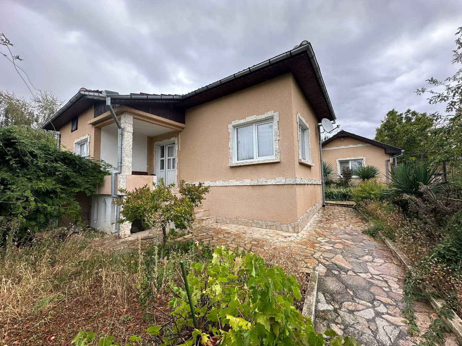 Palm House – Mogilino - photo 1