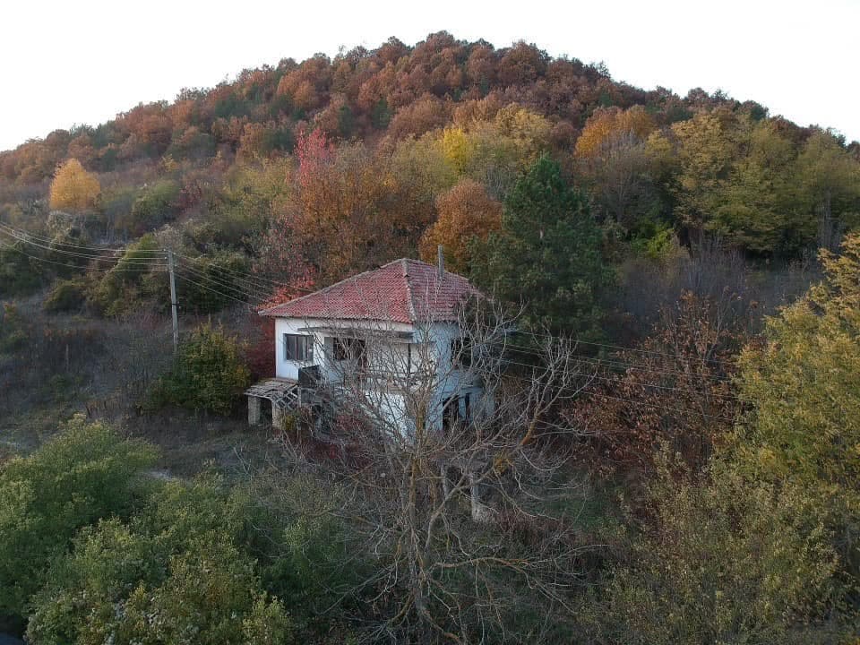 Forest View House – Marchino in Marchino, 2 bedrooms property