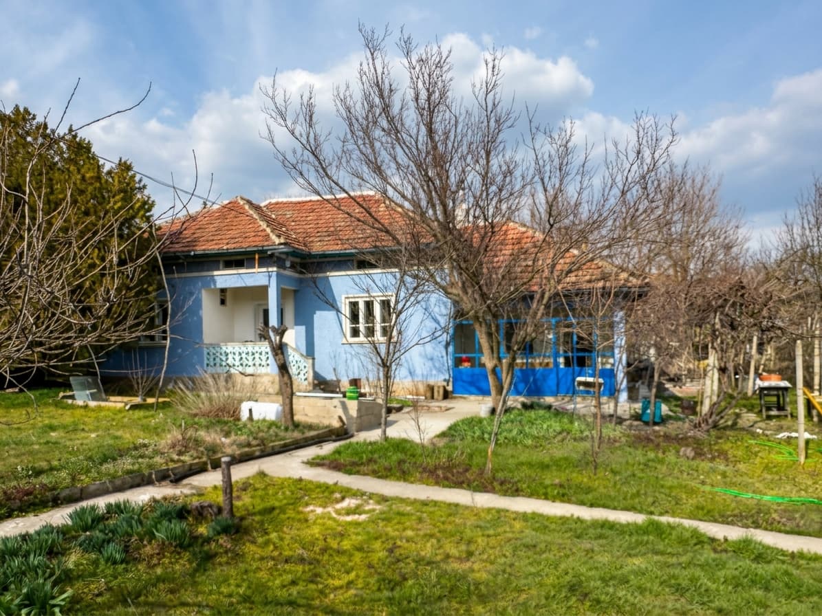 Bluebird House - Pavel