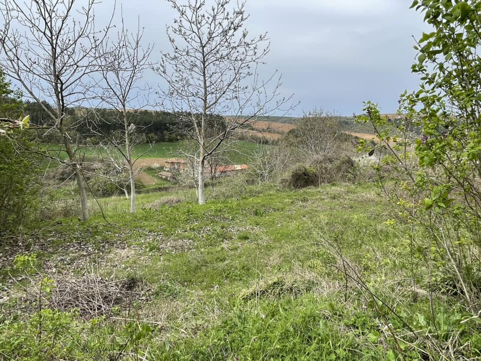 Henry House ~ Pomen in Pomen