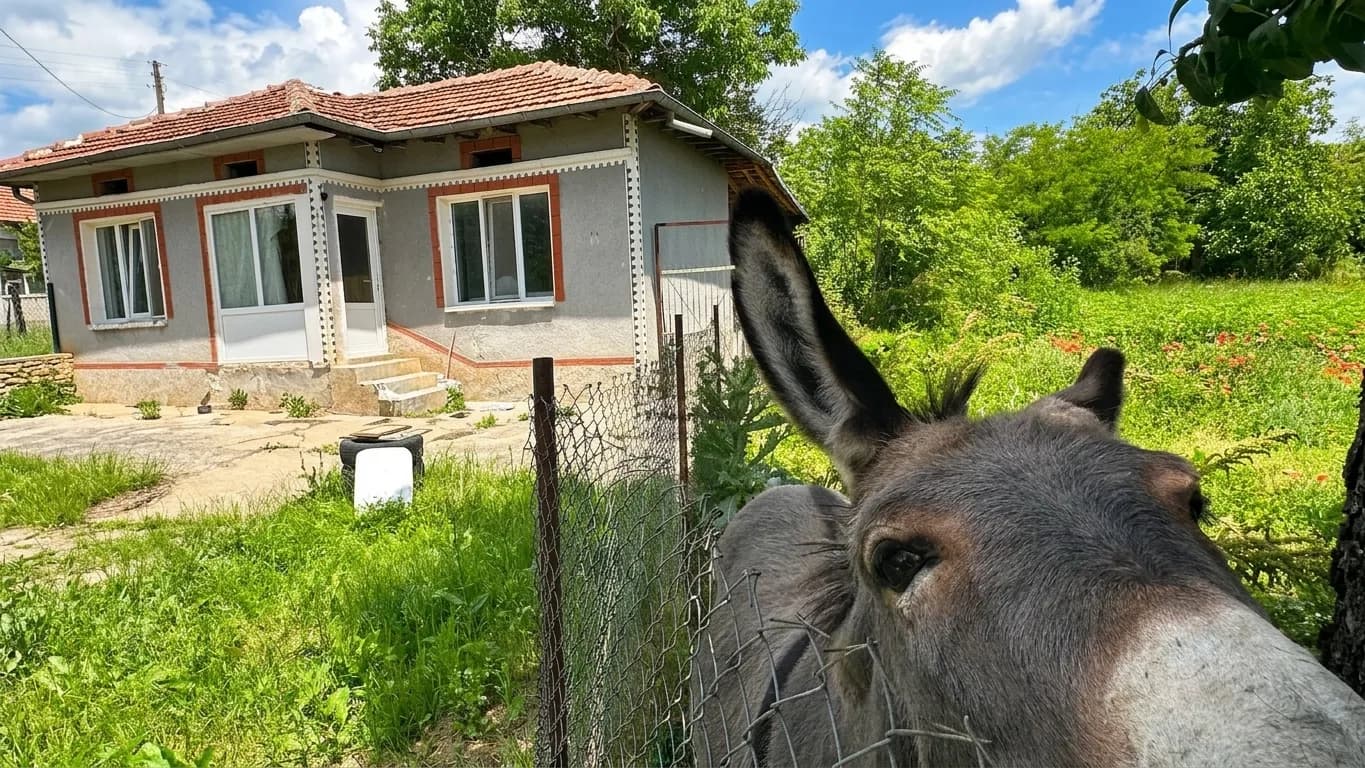 Ass House - Obedinenie in Obedinenie, 1 bedroom property