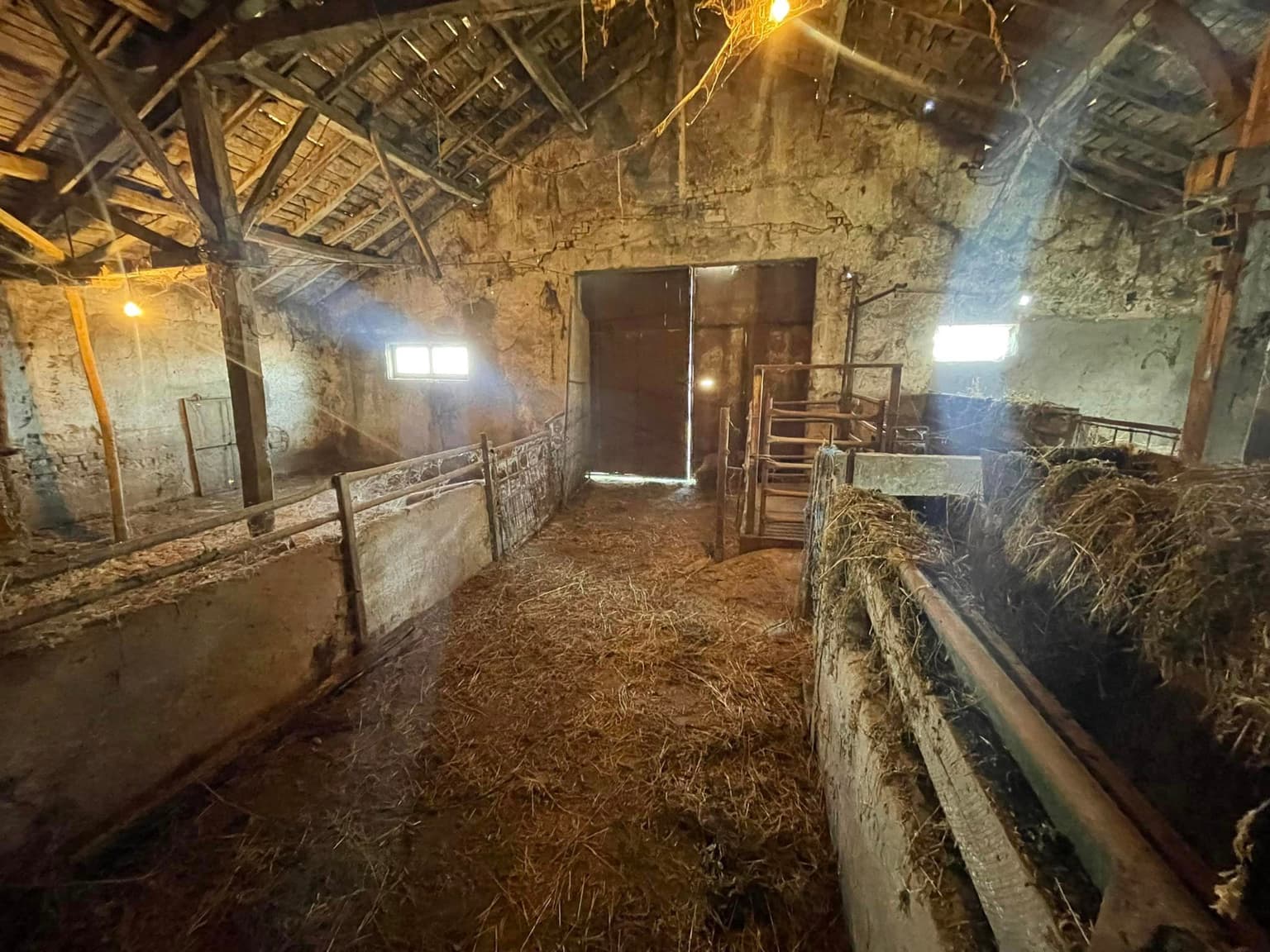 Savannah Farm – Svetlen in Svetlen
