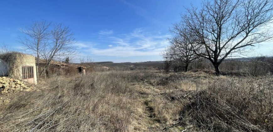 Shepherds Ridge – Berkovski