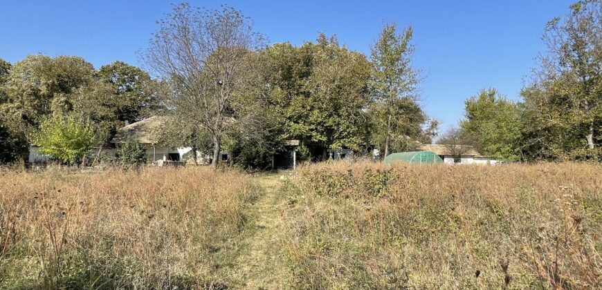 *SOLD* Linden Farmhouse – Lomtsi