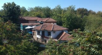 Pigeons Retreat – Peychinovo