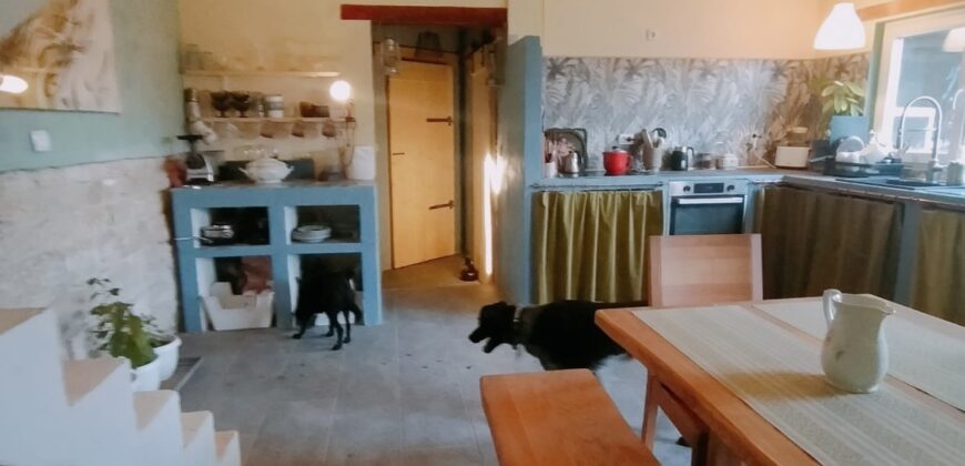 Zen House – Palamartsa