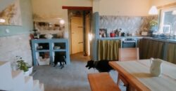 Zen House – Palamartsa