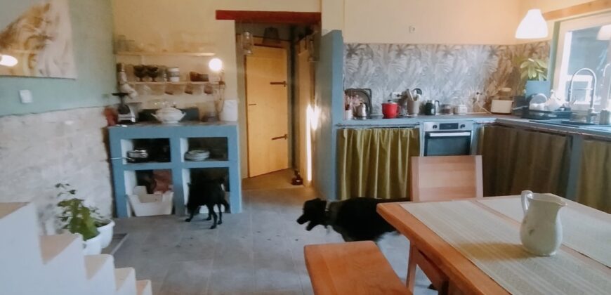 Zen House – Palamartsa
