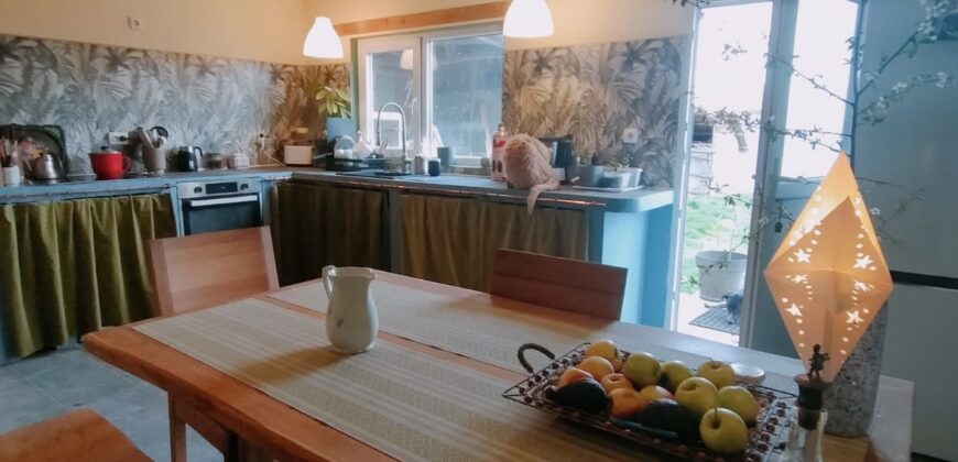 Zen House – Palamartsa