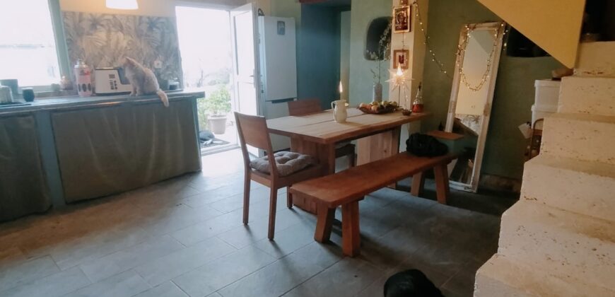 Zen House – Palamartsa