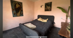 Zen House – Palamartsa