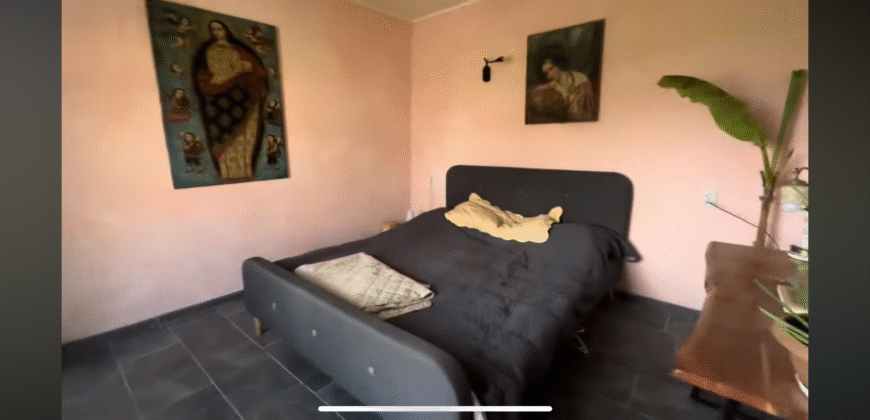 Zen House – Palamartsa
