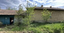 Buttercup House – Palamartsa