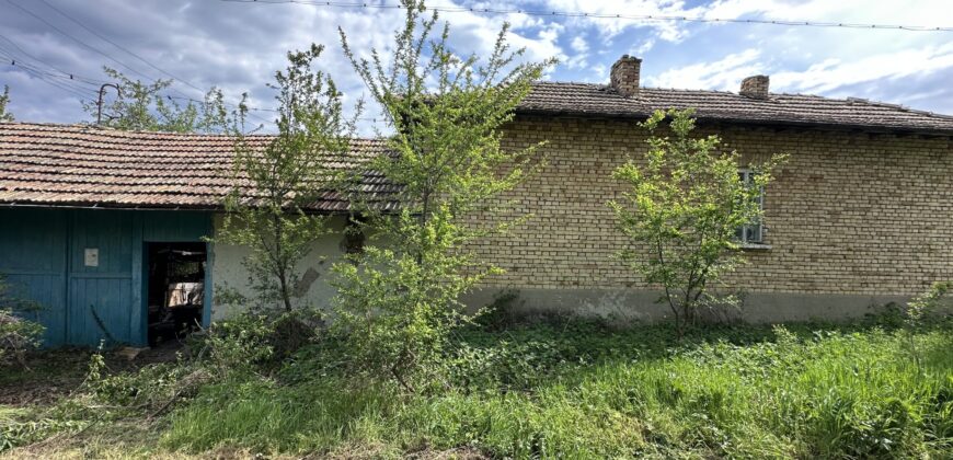 Buttercup House – Palamartsa