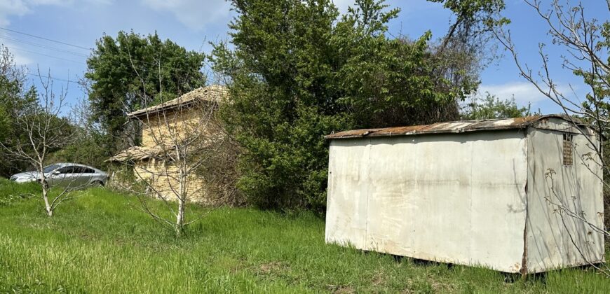 Buttercup House – Palamartsa