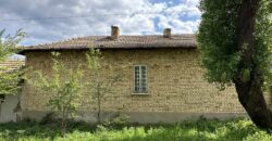 Buttercup House – Palamartsa