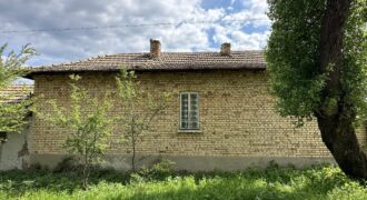 Buttercup House – Palamartsa