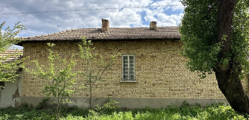 Buttercup House – Palamartsa