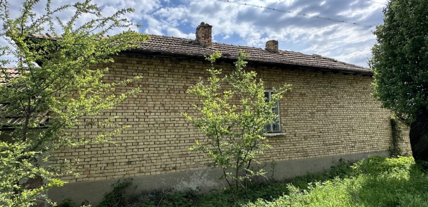 Buttercup House – Palamartsa