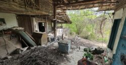Buttercup House – Palamartsa