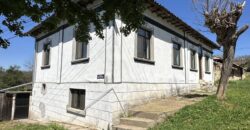 Renaissance House – Mogilino