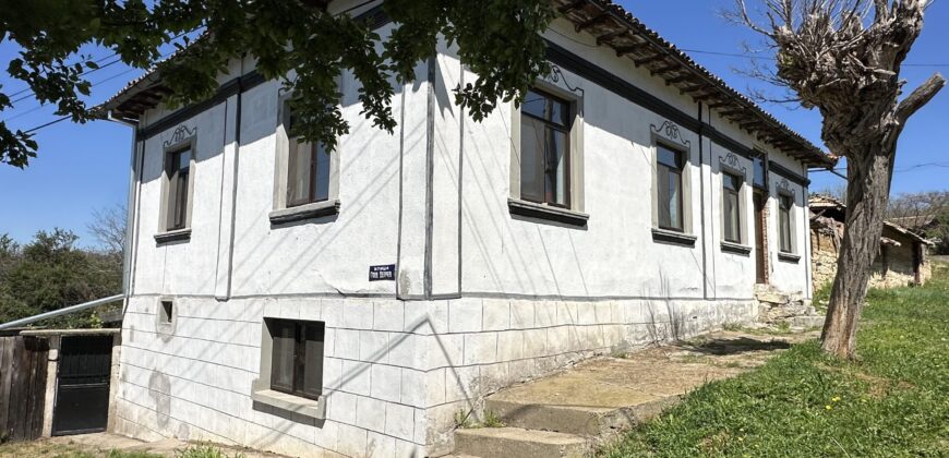 Renaissance House – Mogilino