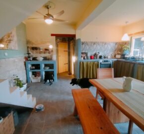 Zen House – Palamartsa