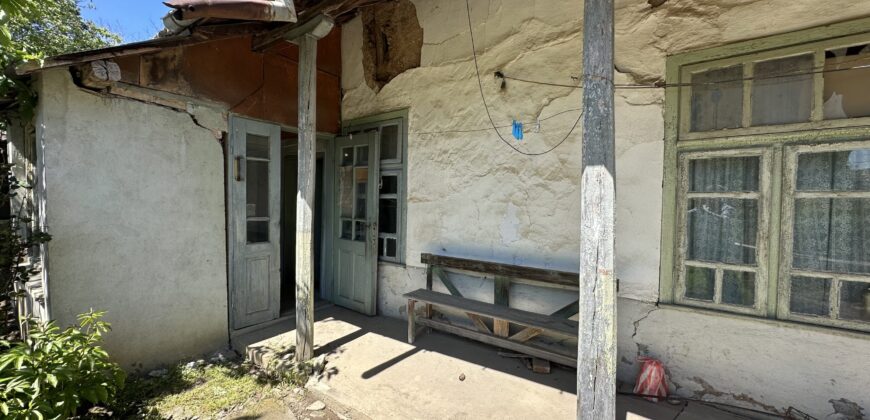 Cornershop House – Voditsa