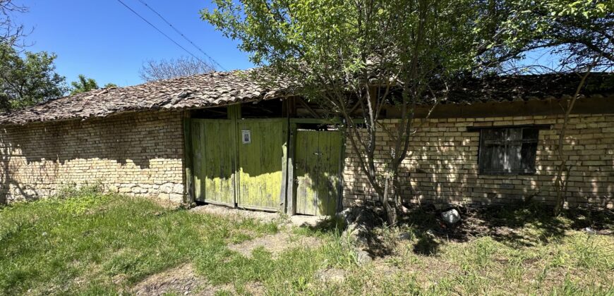 Meadow View House – Tsar Asen