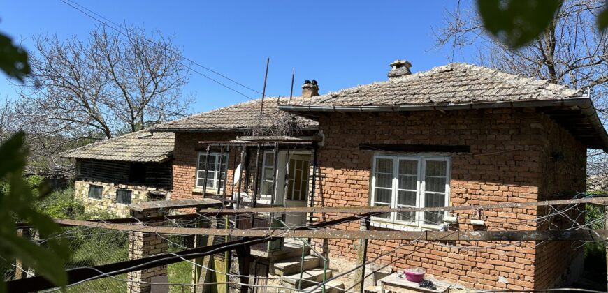 Meadow View House – Tsar Asen