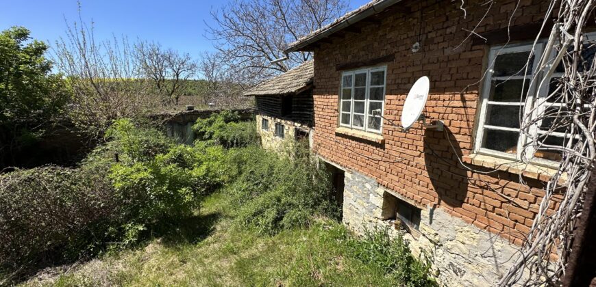 Meadow View House – Tsar Asen
